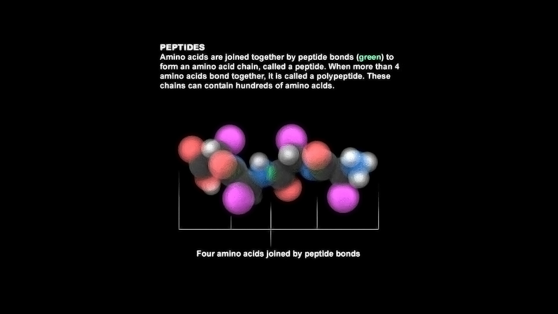 The Biohacker’s Stack: GLP-1 + Peptides in 2025