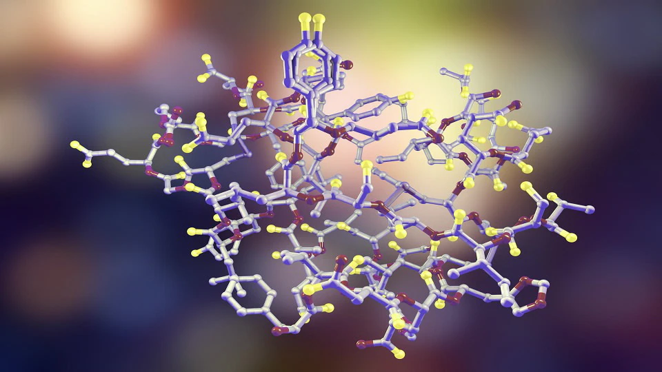 BPC-157 preclinical peptide research overview