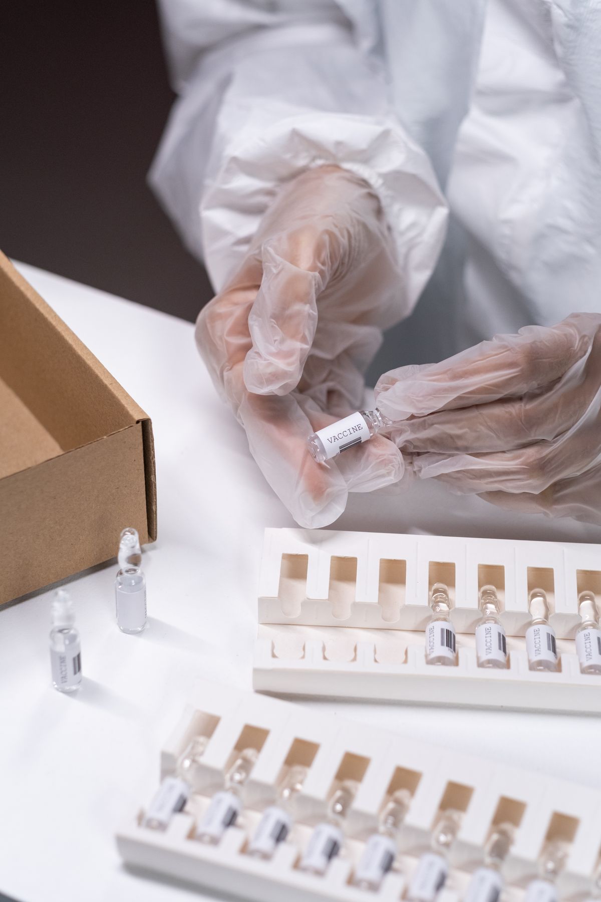 BPC-157 Research Overview: Mechanisms, Animal Studies, and Evidence Assessment
