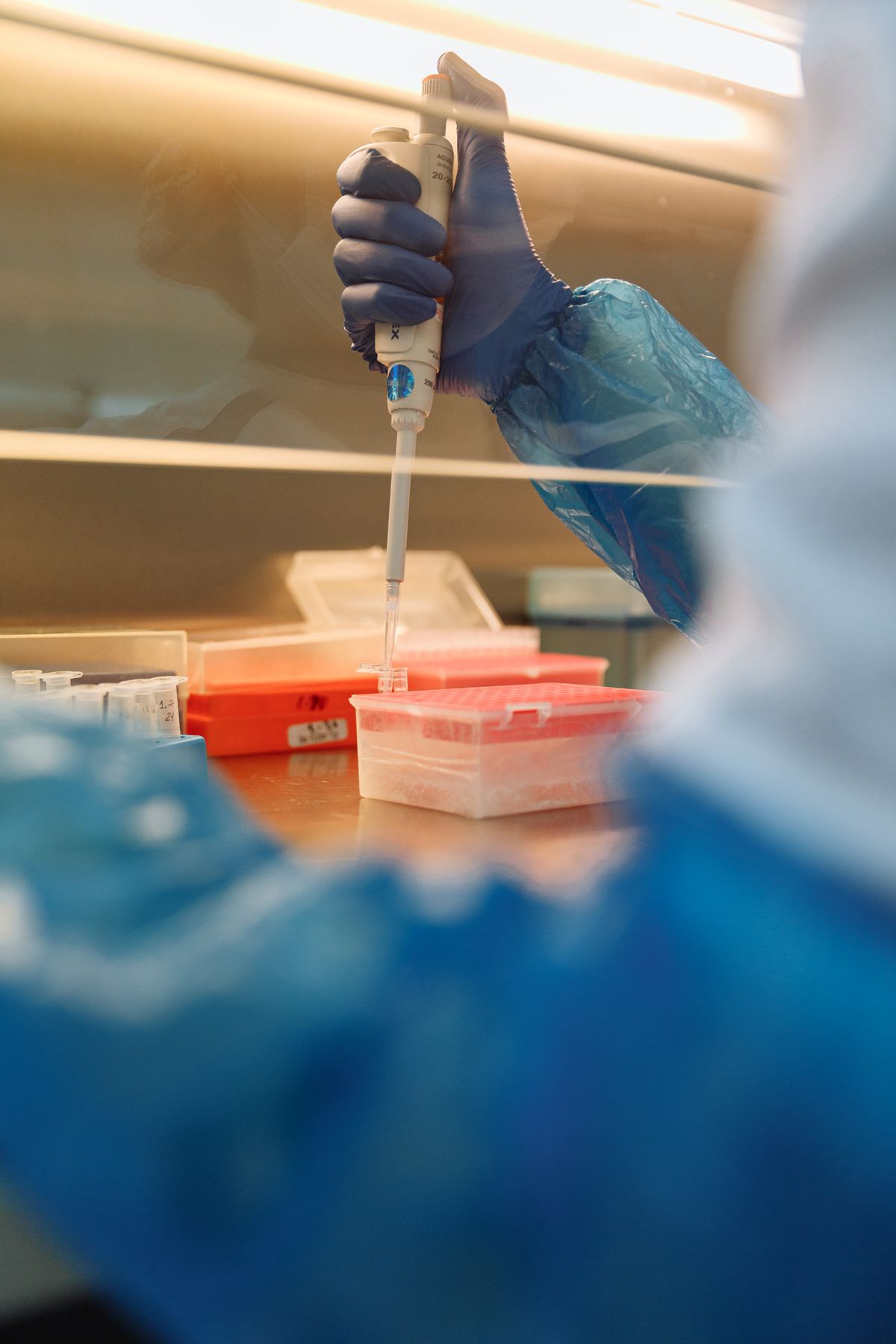 mole1 — glp-1 research and male fertility