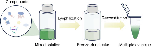 recon — how peptides work in skin