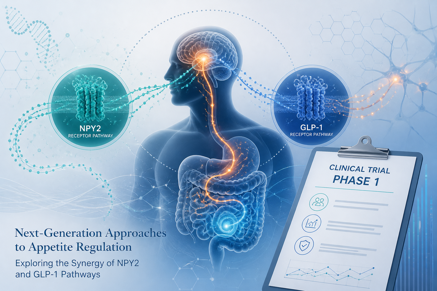 Nisotirostide Obesity Trial: Can NPY2 Add More Weight Loss to GLP-1 Therapy?